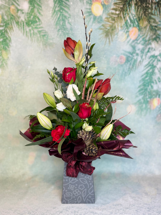 Christmas Tall Amaryllis Aqua