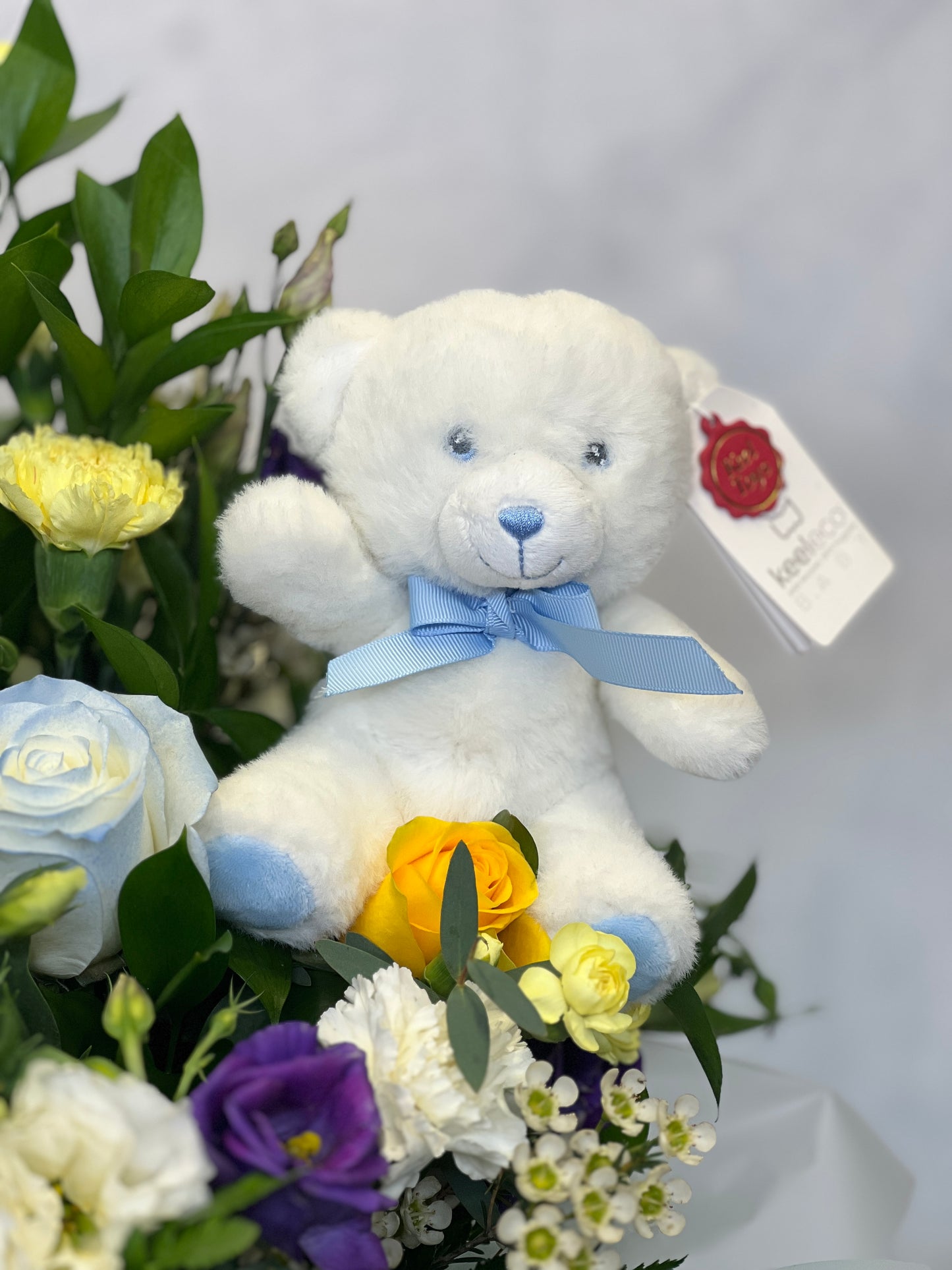 New Baby Teddy & Card Special