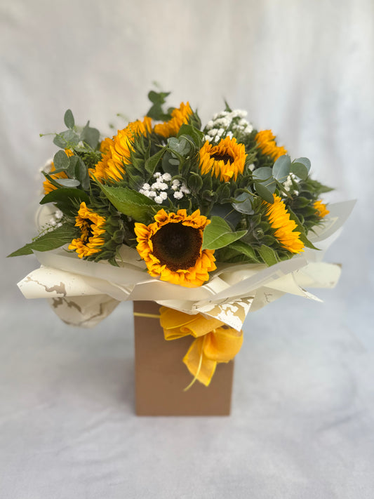 Sunflower Aqua