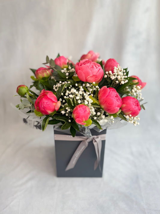 National Peony Aqua