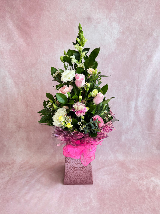 Tall Front Facing Aqua