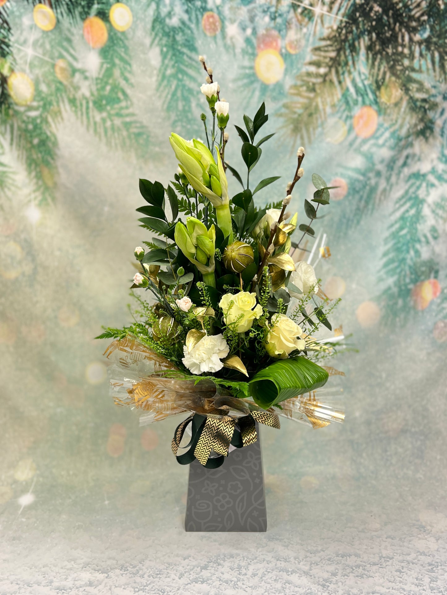 Christmas Tall Amaryllis Aqua