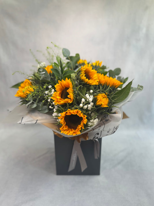 NATIONAL Sunflower Aqua