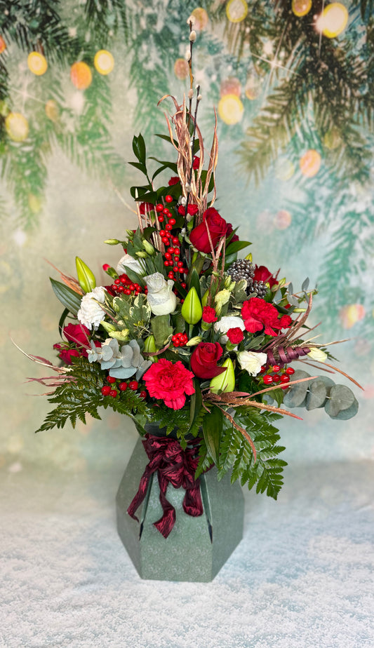 Christmas Prestige Aqua