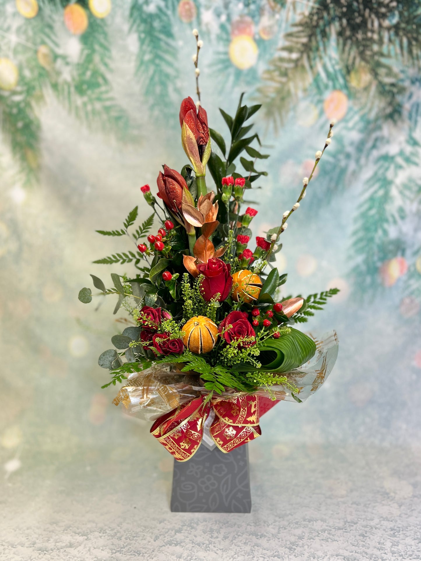 Christmas Tall Amaryllis Aqua